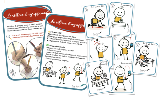 Cartes activités 5 réflexes primordiaux